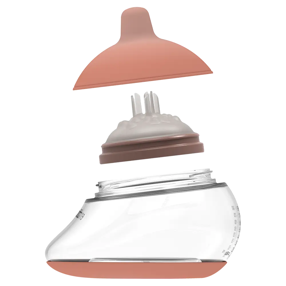 Emulait Anatomy Bottle Exploded